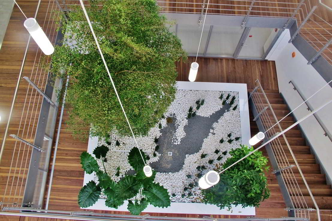 Solitaire tree and plants in the atrium plan and buy online - Norway an Europe