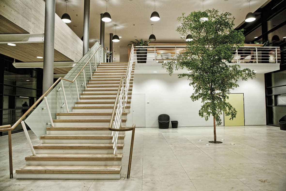 Big tropical tree interior lobby and hospital - Norway, Finland, Sweden, Denmark - Europe