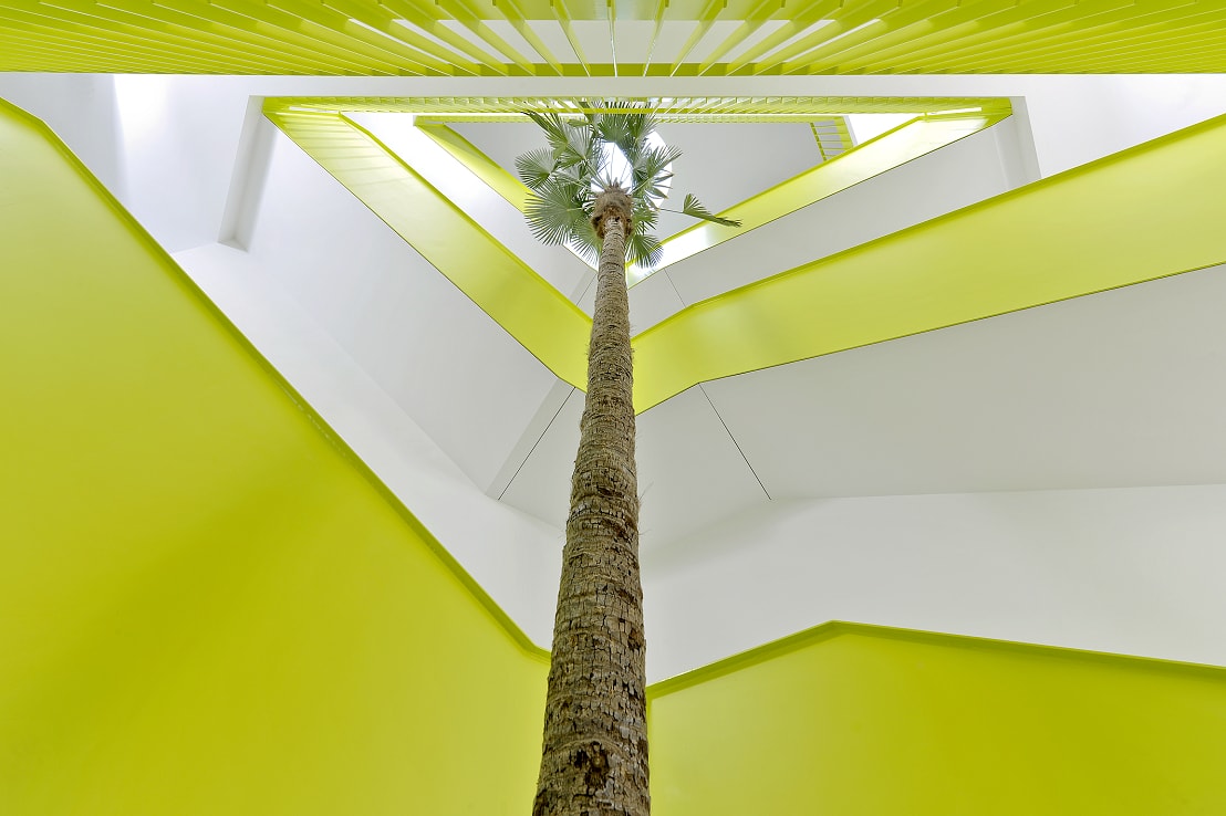 Big tropical palm interior lobby and stairway - Norway, Finland, Sweden, Denmark - Europe buy online