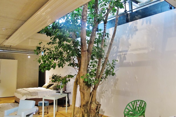 Big tropical tree interior lobby and shopping center - Norway, Finland, Sweden, Denmark - Europe buy online