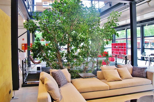 Big tropical tree interior furniture house and shopping Center - Norway, Finland, Sweden, Denmark - Europe buy online