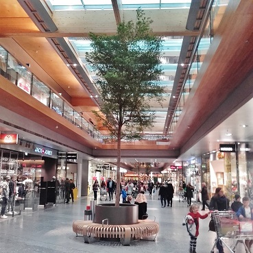 Baum shopping mall kaufen pflanzen vorarlberg