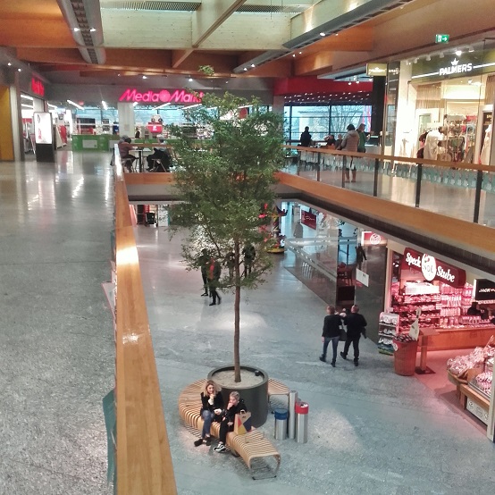 shopping mall center begruenung baum pflanzen kaufen