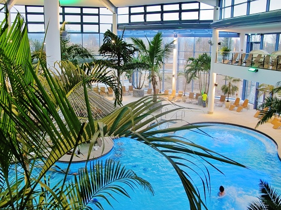 Palmen pflanzen pool therme schwimmbad kaufen